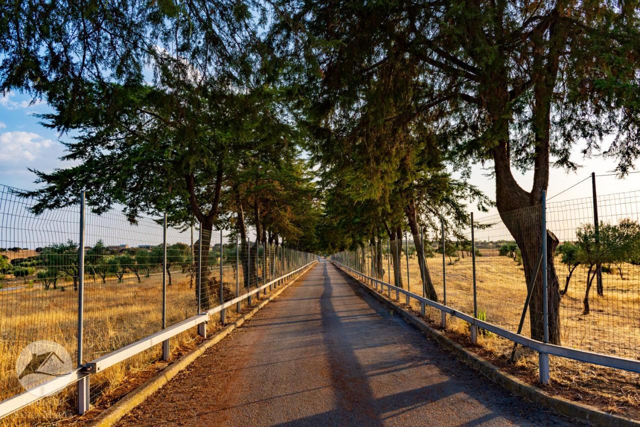 Alojamento Local Santa Marta Zebreira Екстер'єр фото
